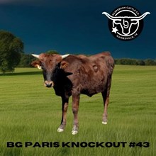 BG Paris Knockout