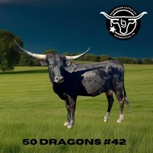 KCS 50 Dragons