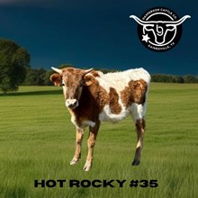 BG Hot Rocky