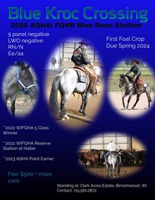 BLUE KROC CROSSING