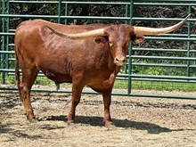 SR 2112