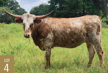 LUCKY SPECKLED LADY BBR