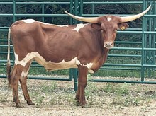 SR 434