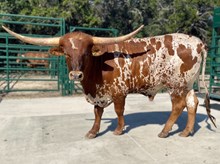 SR 448
