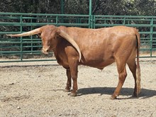 SR 464