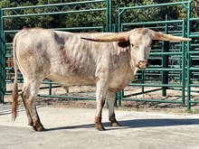 SR 468