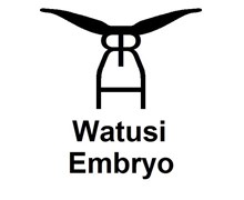 RRH WATUSI EMBRYO