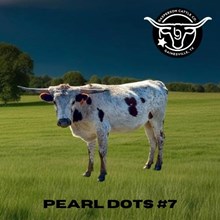 BG Pearl Dots