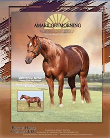 AMARILOBYMORNING