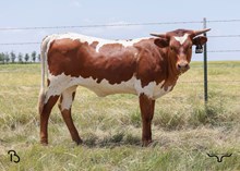 #128 BANKER X CHUNKY