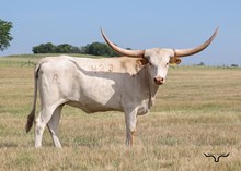 BL WHITE DIAMOND 423