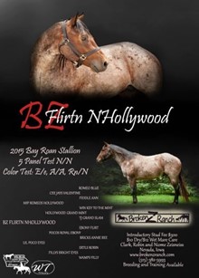BZ FLIRTN NHOLLYWOOD