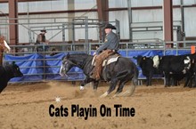 CATS PLAYIN ON TIME