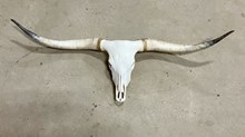 RRH SKULL $650