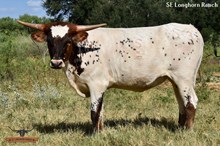 SEL REB'S AWESOME KISS