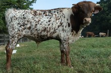 RWF CASAMIGO