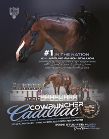 COWPUNCHER CADILLAC