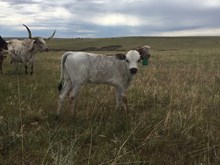 Grand Exit x Delilah Bull