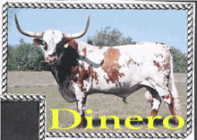 DINERO