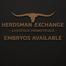 Top Caliber x Texana Tinsel Embryos