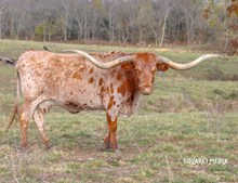 BASCO'S CARMEL CB