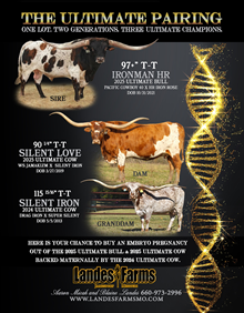 Ultimate Heifer