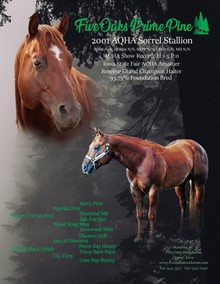 FIVE OAKS PRIME PINE