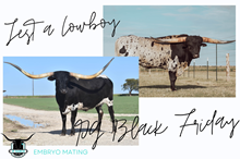 Jest a Cowboy x PG Black Friday Embryo
