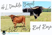 HL Double Barrel x ECR Tari's Red Rose Embryo