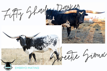 Fifty Shades Darker x Sioux Frozen Embryo