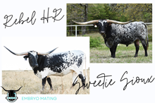 Rebel x Sioux Frozen Embryo