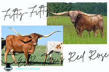 Fifty-Fifty BCB x ECR Tari's Red Rose