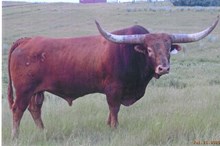 Gettin The Point