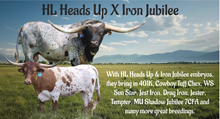Iron Jubilee X HL Heads Up