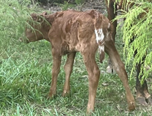 HS Headin On South