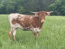 MW Madeline
