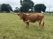 CR Pacific Texa