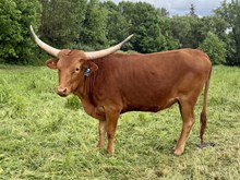 A&S Willamina