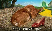 SEE4’s Ruby Slipper