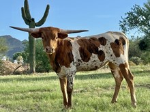 JL Cinco de Mayo