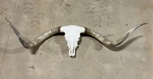 RRH SKULL $2400