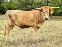 PR 0424