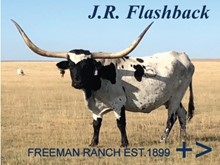J.R. FLASHBACK