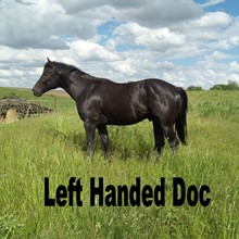 LEFT HANDED DOC