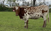 JH RURAL LEGEND