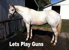 LETS PLAY GUNS