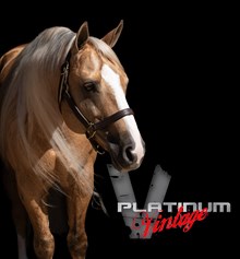 PLATINUM VINTAGE
