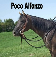POCO ALFONZO