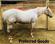 PREFERED GOODS