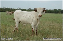 DDR Princess's Rodeo 10